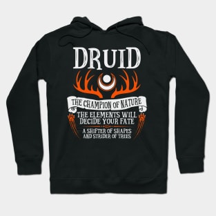 Druid, Dungeons & Dragons - The Divine Champion Hoodie